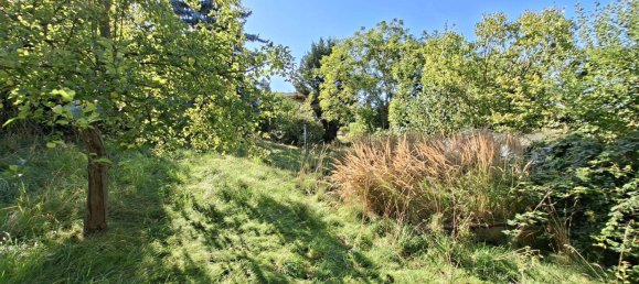 Terrain à Dresden, Germany No. 320334 5