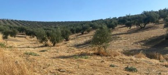 90000m² Land in Andalusia, Spain No. 187284 4