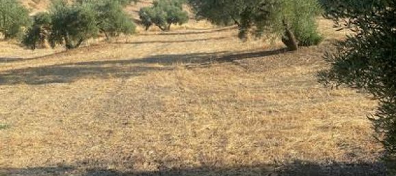 90000m² Land in Andalusia, Spain No. 187284 2
