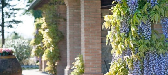 Вилла с 14 спальнями в Печчоли, Италия № 160130 4