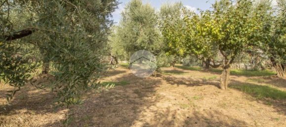 1 chambre Maison à Palombara Sabina, Italy No. 324723 14