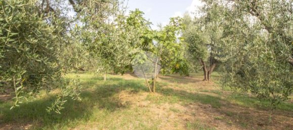 1 chambre Maison à Palombara Sabina, Italy No. 324723 24