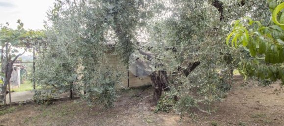 1 chambre Maison à Palombara Sabina, Italy No. 324723 16