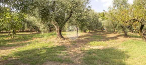 1 chambre Maison à Palombara Sabina, Italy No. 324723 23