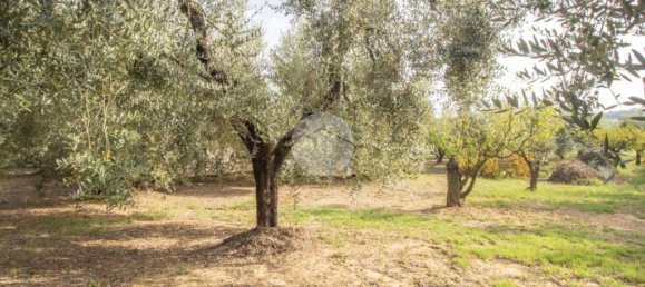 1 chambre Maison à Palombara Sabina, Italy No. 324723 19