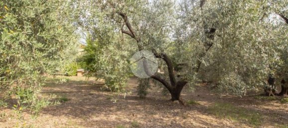 1 chambre Maison à Palombara Sabina, Italy No. 324723 15