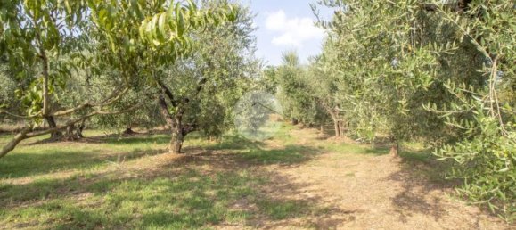 1 chambre Maison à Palombara Sabina, Italy No. 324723 6