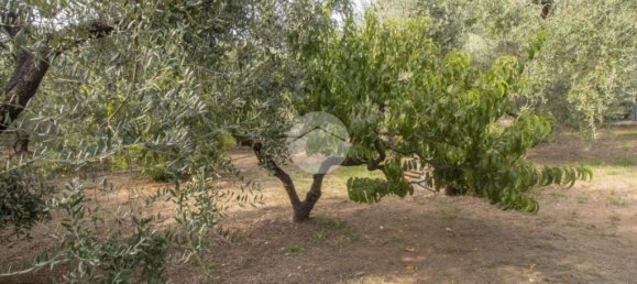 1 chambre Maison à Palombara Sabina, Italy No. 324723 13