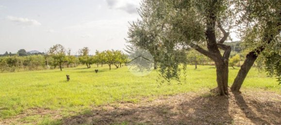 1 chambre Maison à Palombara Sabina, Italy No. 324723 7