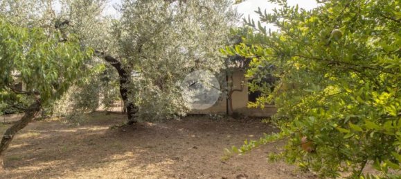 1 chambre Maison à Palombara Sabina, Italy No. 324723 5