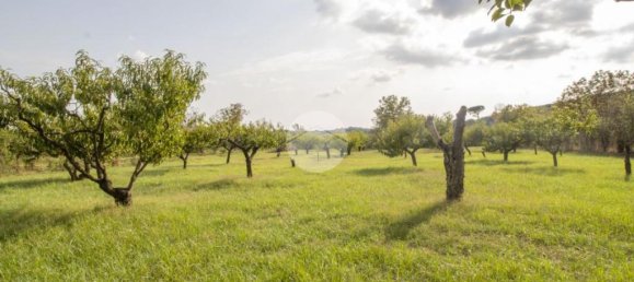 1 chambre Maison à Palombara Sabina, Italy No. 324723 25