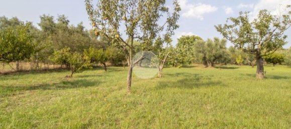 1 chambre Maison à Palombara Sabina, Italy No. 324723 20