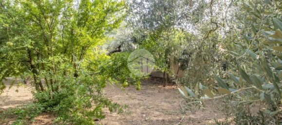 1 chambre Maison à Palombara Sabina, Italy No. 324723 21