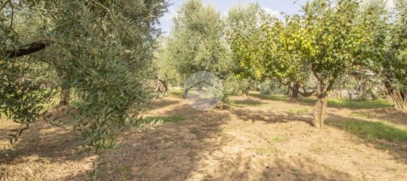 1 chambre Maison à Palombara Sabina, Italy No. 324723 22