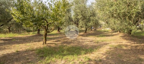 1 chambre Maison à Palombara Sabina, Italy No. 324723 26