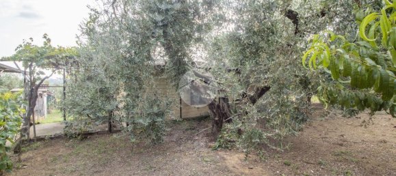 1 chambre Maison à Palombara Sabina, Italy No. 324723 2