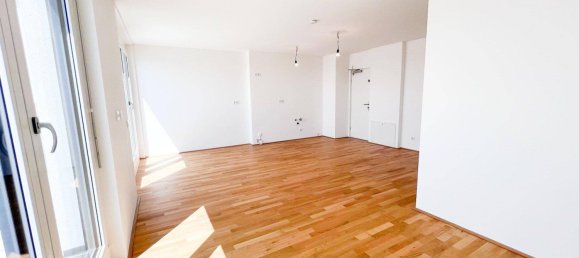 2 rooms Duplex in Liesing, Austria No. 250072 2