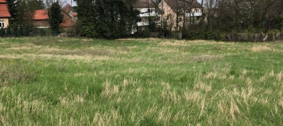  Land in Helmstedt, Germany No. 135645 4