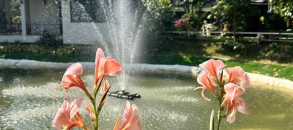 Apartamento em condomínio em Chiang Mai, Thailand N.º 77519 3