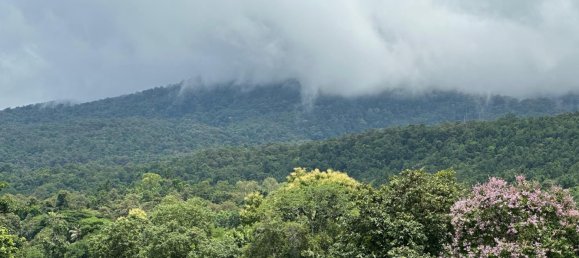 Apartamento em condomínio em Chiang Mai, Thailand N.º 77519 5