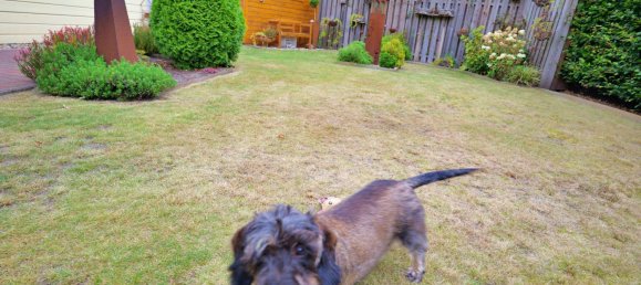 Casa de 4 divisões em Steinfurt, Germany N.º 314253 5