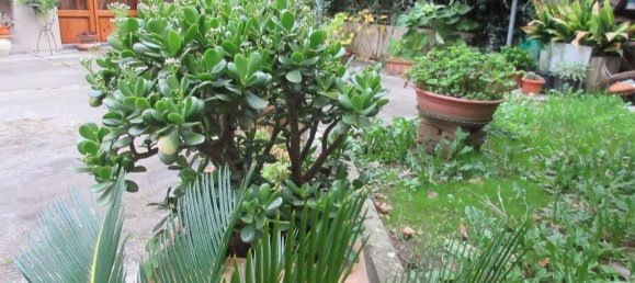 8-salle Maison à Empoli, Italy No. 103708 11