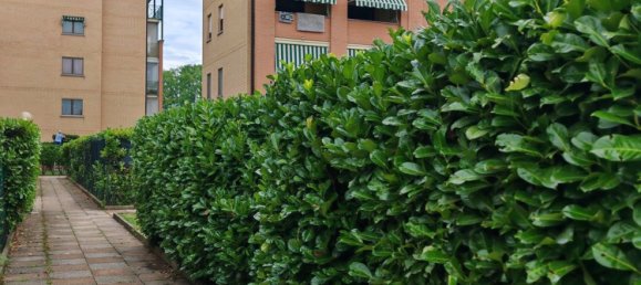 4 bedrooms Apartment in Collegno, Italy No. 380304 4