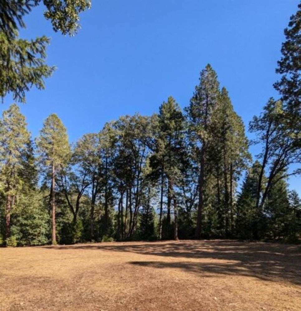  Land in Nevada City, USA No. 479074