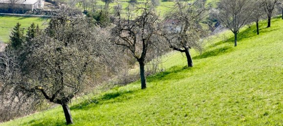 Terreno em Konstanz, Germany N.º 309119 3