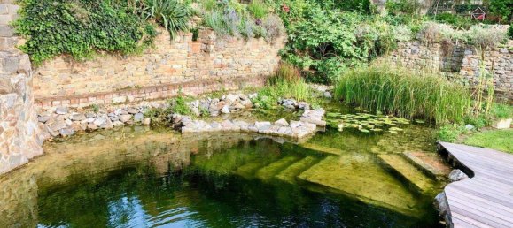 9 rooms House in Hollabrunn, Austria No. 216775 24