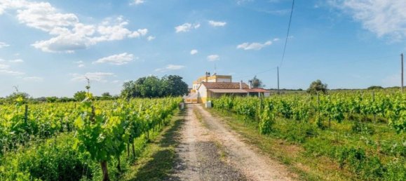 5 chambres Maison à Estremoz, Portugal No. 146269 38