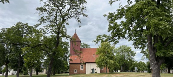  Land in Brandenburg, Germany No. 113662 3