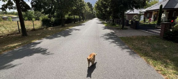  Land in Brandenburg, Germany No. 113662 6