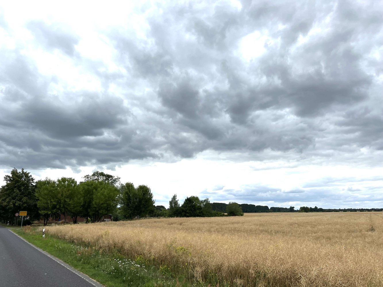  Land in Brandenburg, Germany No. 113662