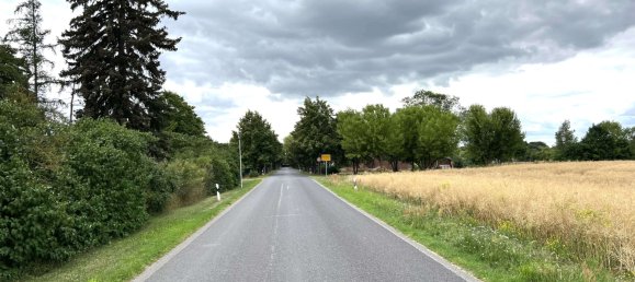  Land in Brandenburg, Germany No. 113662 4