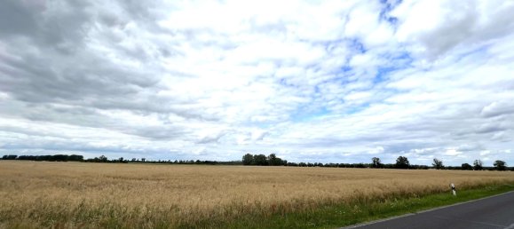  Land in Brandenburg, Germany No. 113662 2