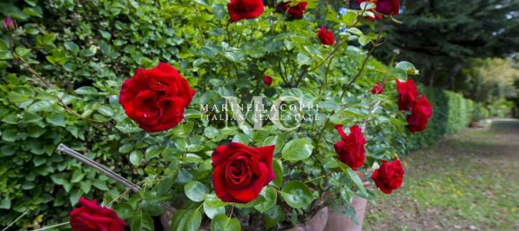 10 bedrooms Villa in Monteriggioni, Italy No. 213869 23