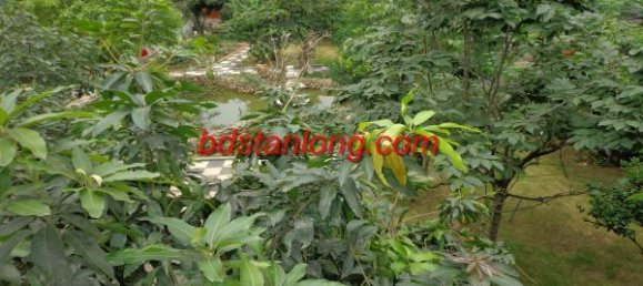 8 غرف نوم منزل في Tay Ho, Vietnam رقم 6814 20