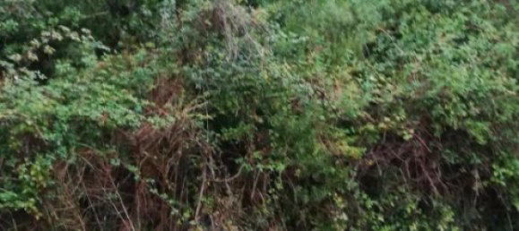 800m² Land in Barcelona, Spain No. 161626 3