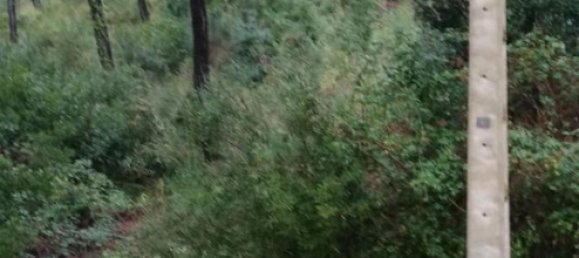 800m² Land in Barcelona, Spain No. 161626 8