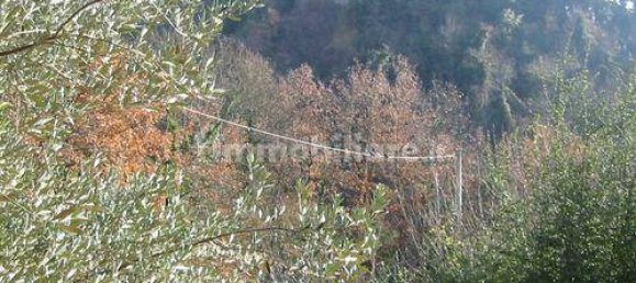 Casa T4 em Ficulle, Italy N.º 133099 6