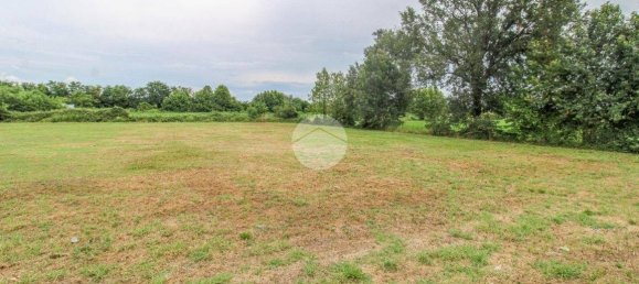 5980m² Land in Fiesco, Italy No. 264193 27