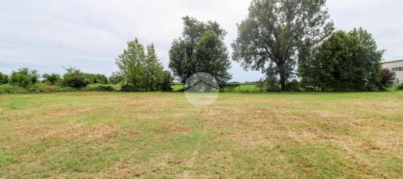 5980m² Land in Fiesco, Italy No. 264193 8