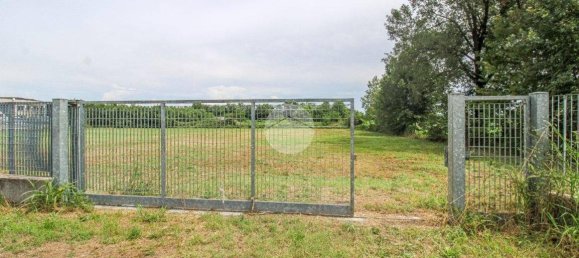 5980m² Land in Fiesco, Italy No. 264193 2