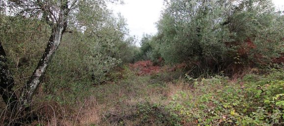 5500m² Hotel in Corfu, Greece No. 5340 3