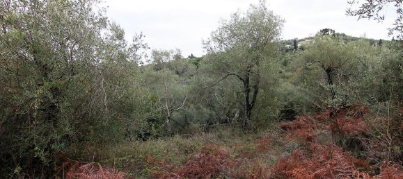 5500m² Hotel in Corfu, Greece No. 5340 4