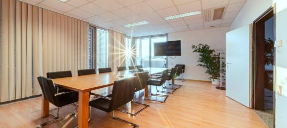 Lagerhaus in Liesing, Austria 4000m², Nr. 173842 17