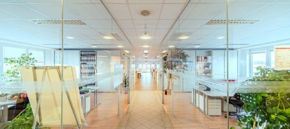 Lagerhaus in Liesing, Austria 4000m², Nr. 173842 19