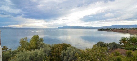 1406m² Apartment in Euboea, Greece No. 3311 6