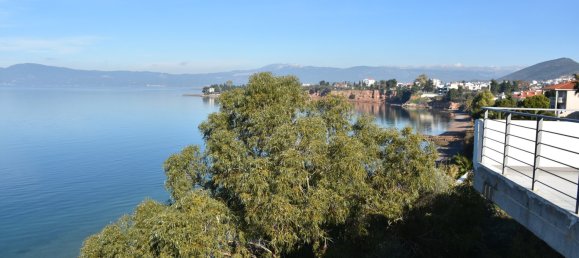 1406m² Apartment in Euboea, Greece No. 3311 10